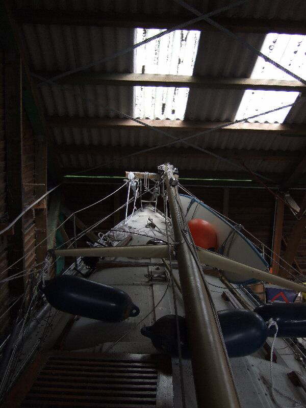boot 243